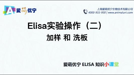 Elisa实验操作（二）